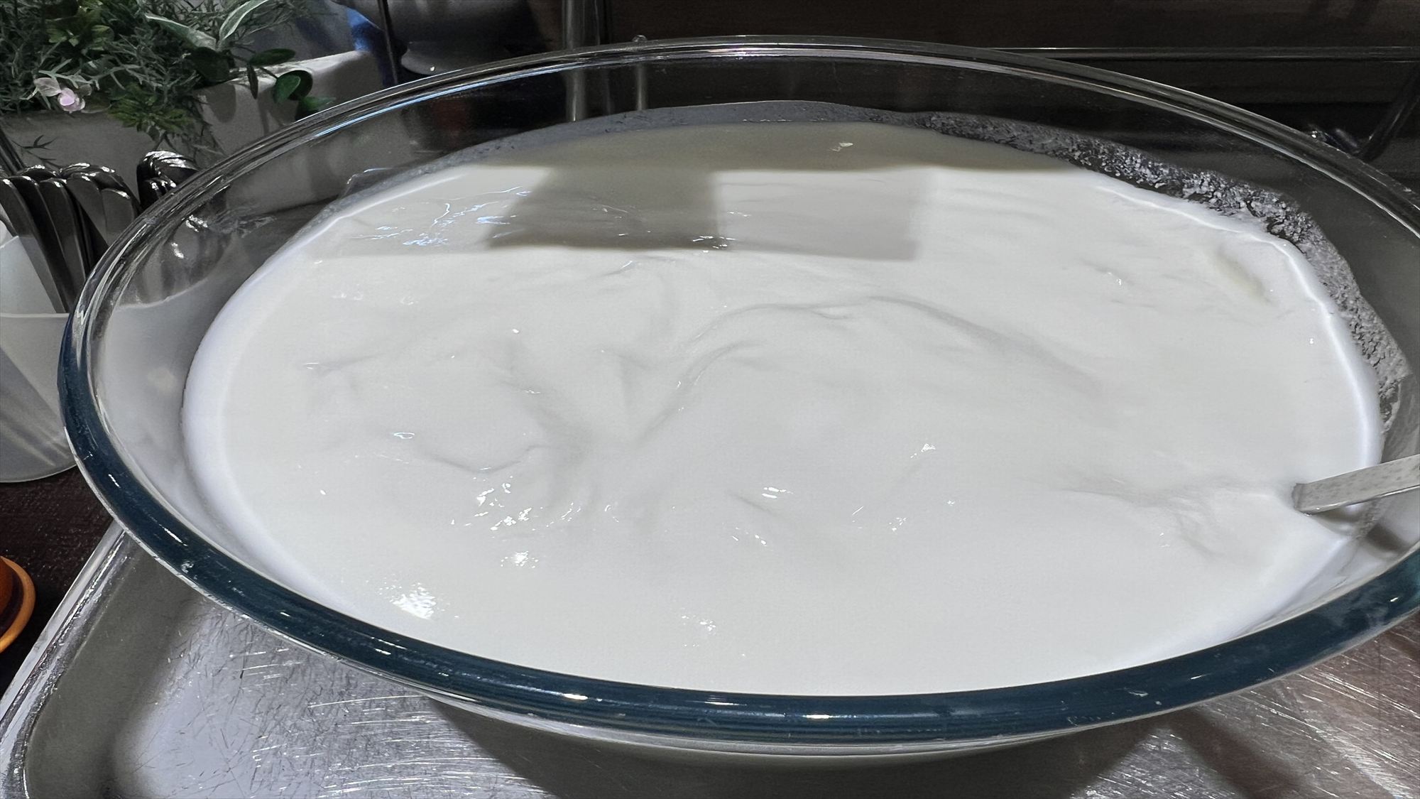 ◆朝食　極みヨーグルト