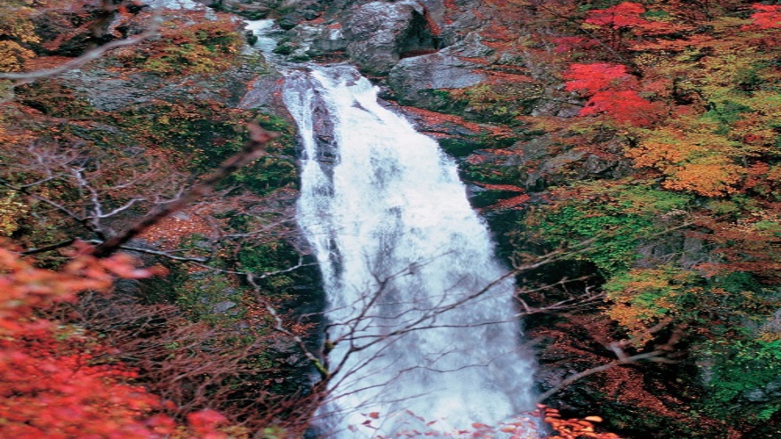◆≪秋保大滝≫幅６ｍ落差５５ｍの文字通りの大滝で、日本三名瀑の一つです。
