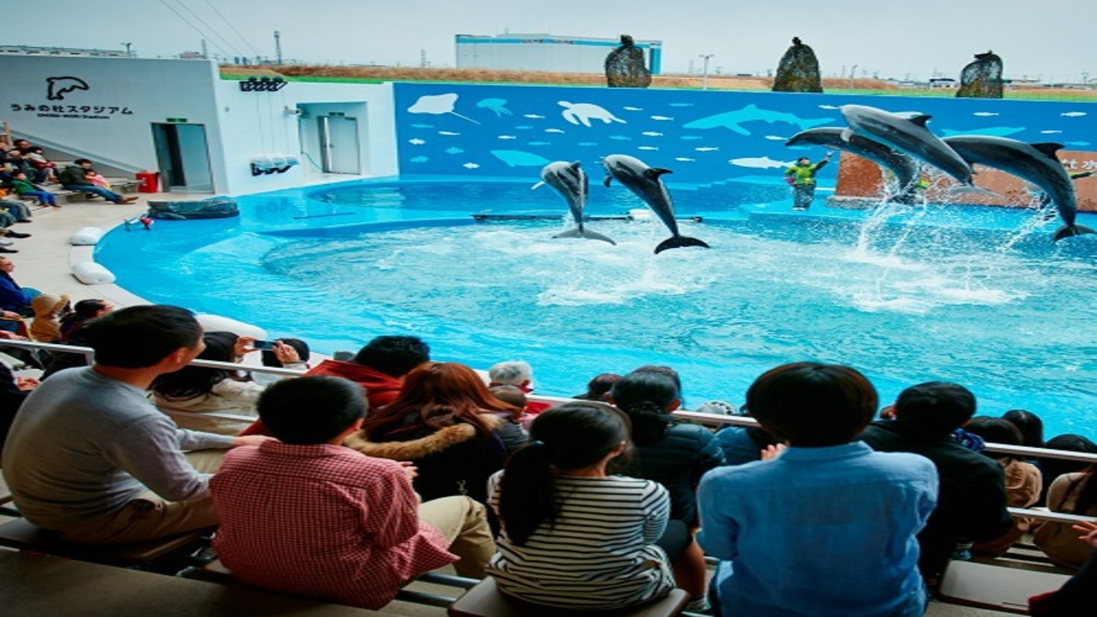 ◆≪仙台うみの杜水族館≫東北最大級のパフォーマンスをご覧くださいませ♪