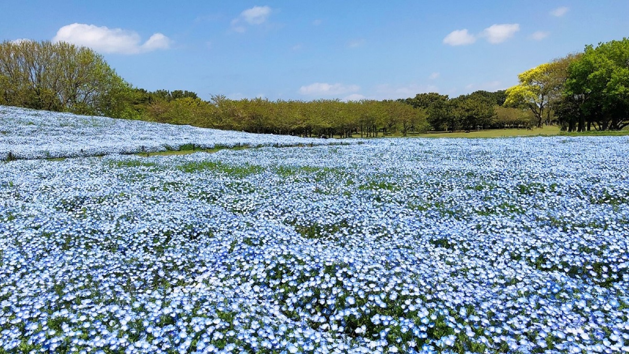 海の中道海浜公園