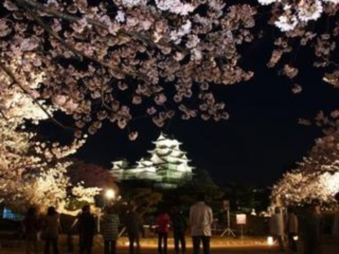 姫路城、夜桜