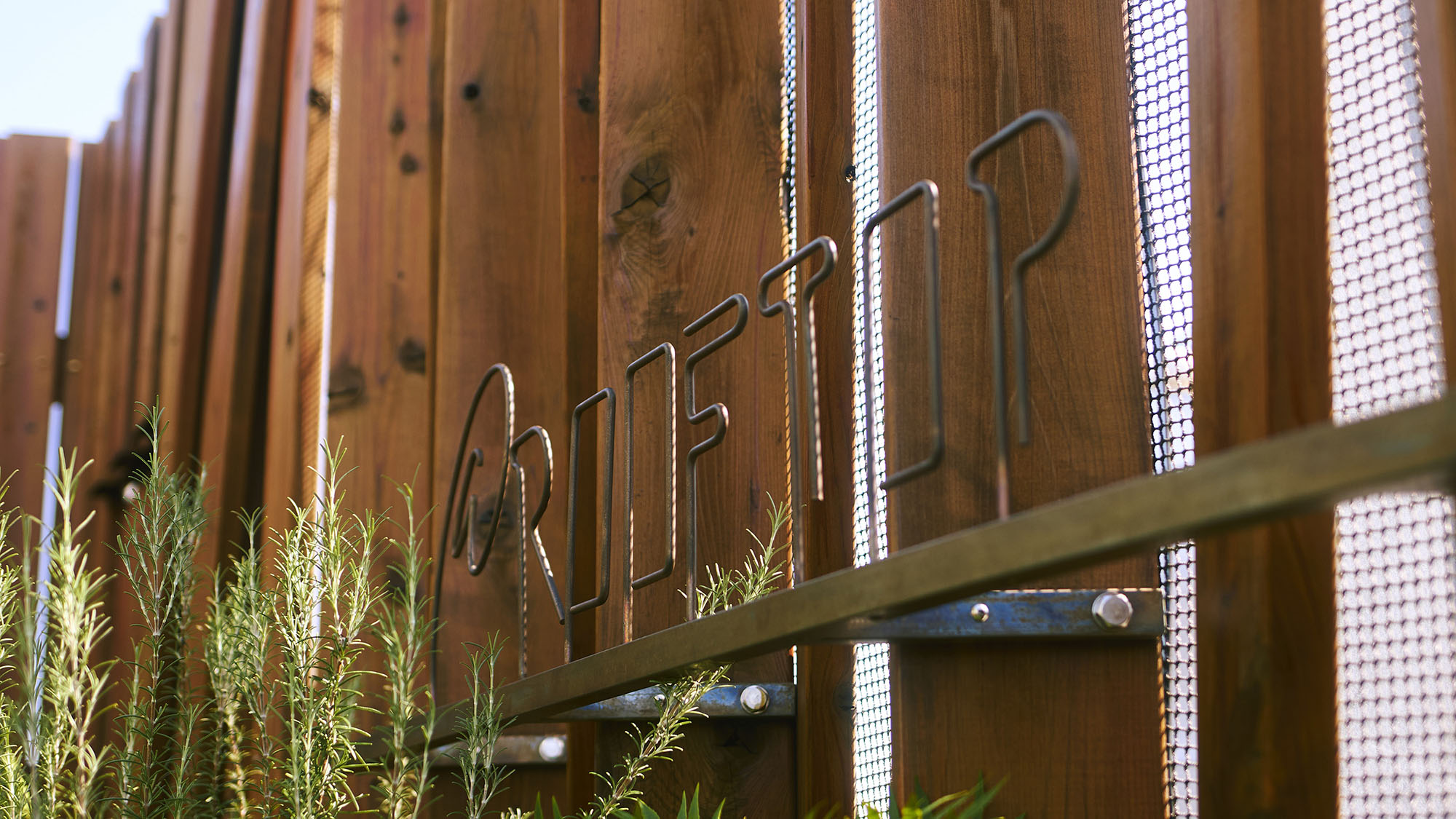 @rooftop｜木と緑に囲まれた「空の森」