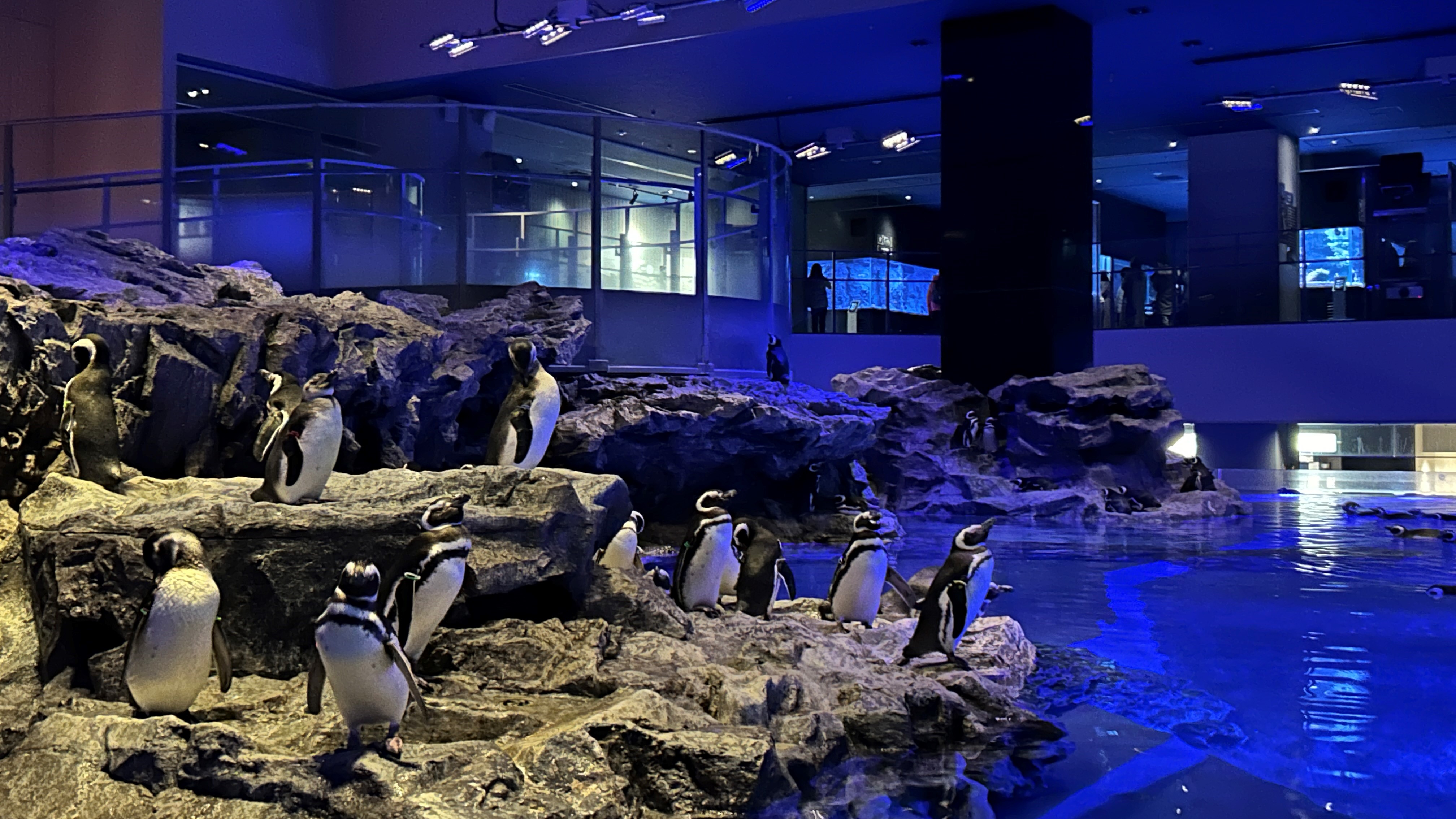 【周辺観光スポット】すみだ水族館　ホテルより徒歩で約13分