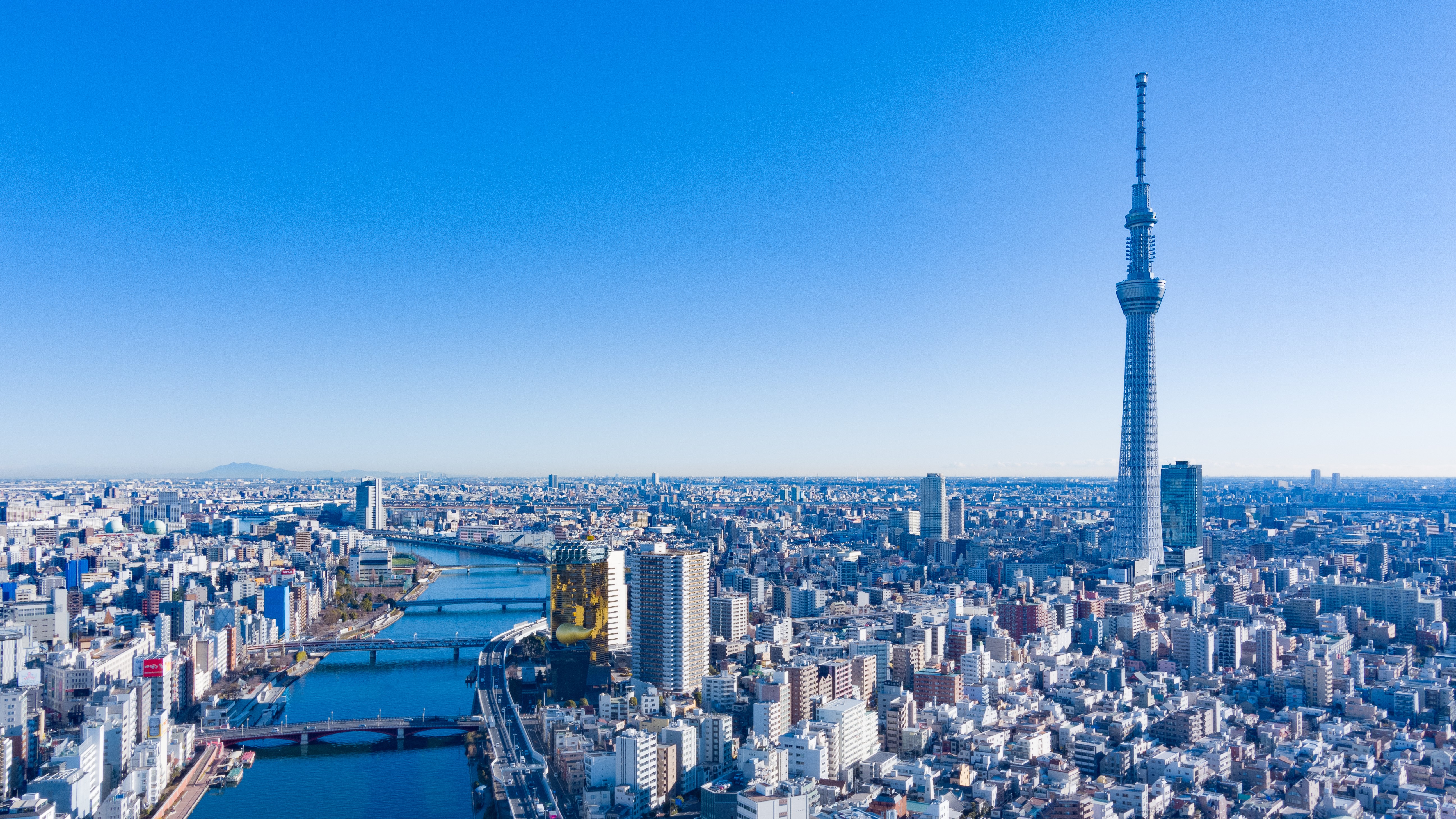 【周辺観光スポット】東京スカイツリー(R)　ホテルより徒歩で約12分