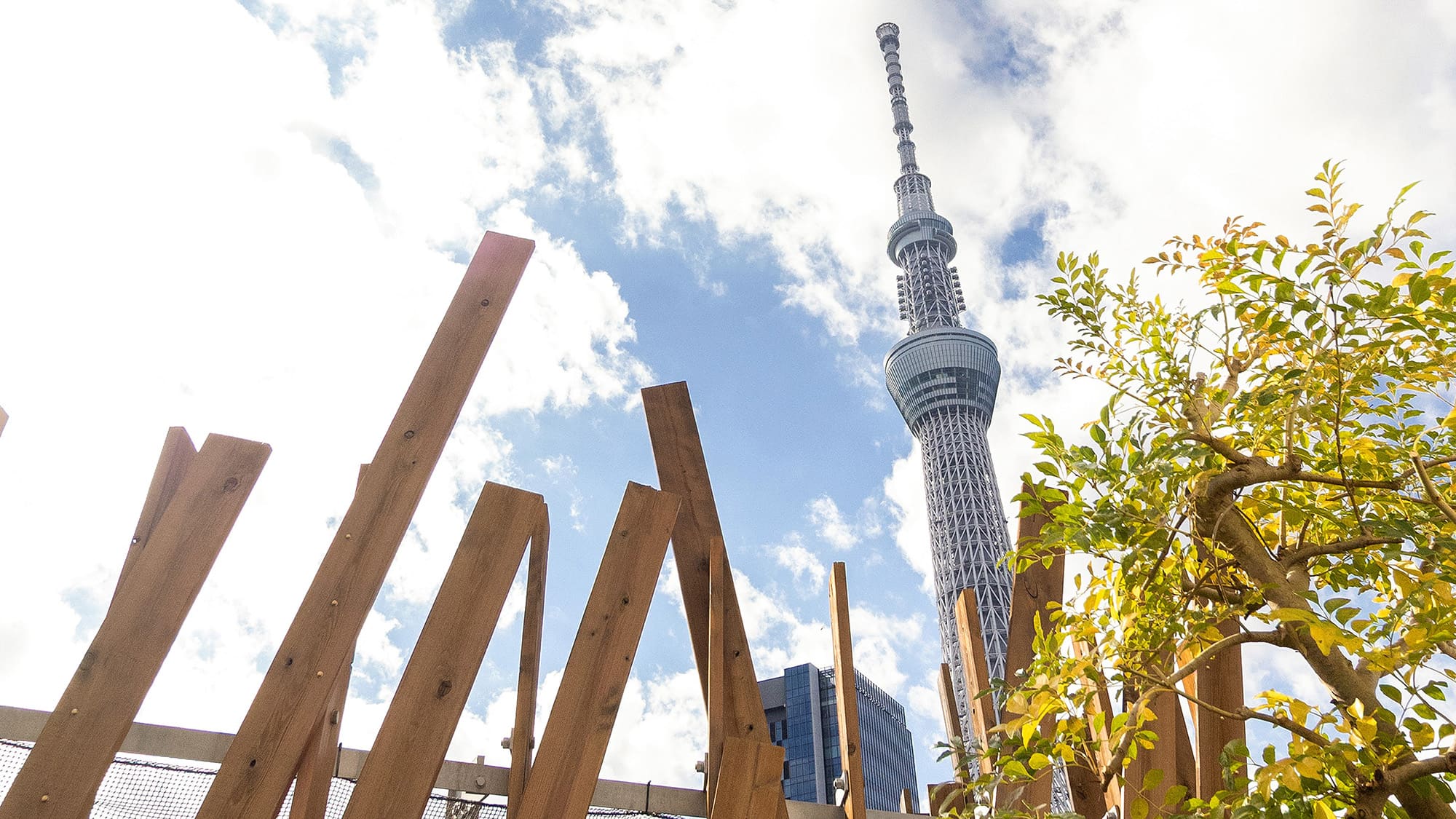 @rooftop｜木の温もりと緑に囲まれ、スカイツリーを仰ぐ。開放感あふれるルーフトップ。