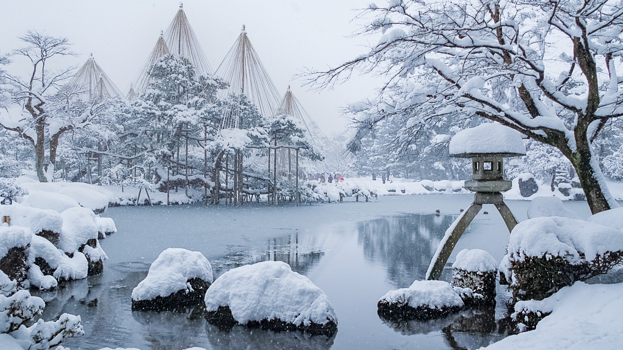 ◆兼六園◆　冬だけの絶景、白銀の庭園
