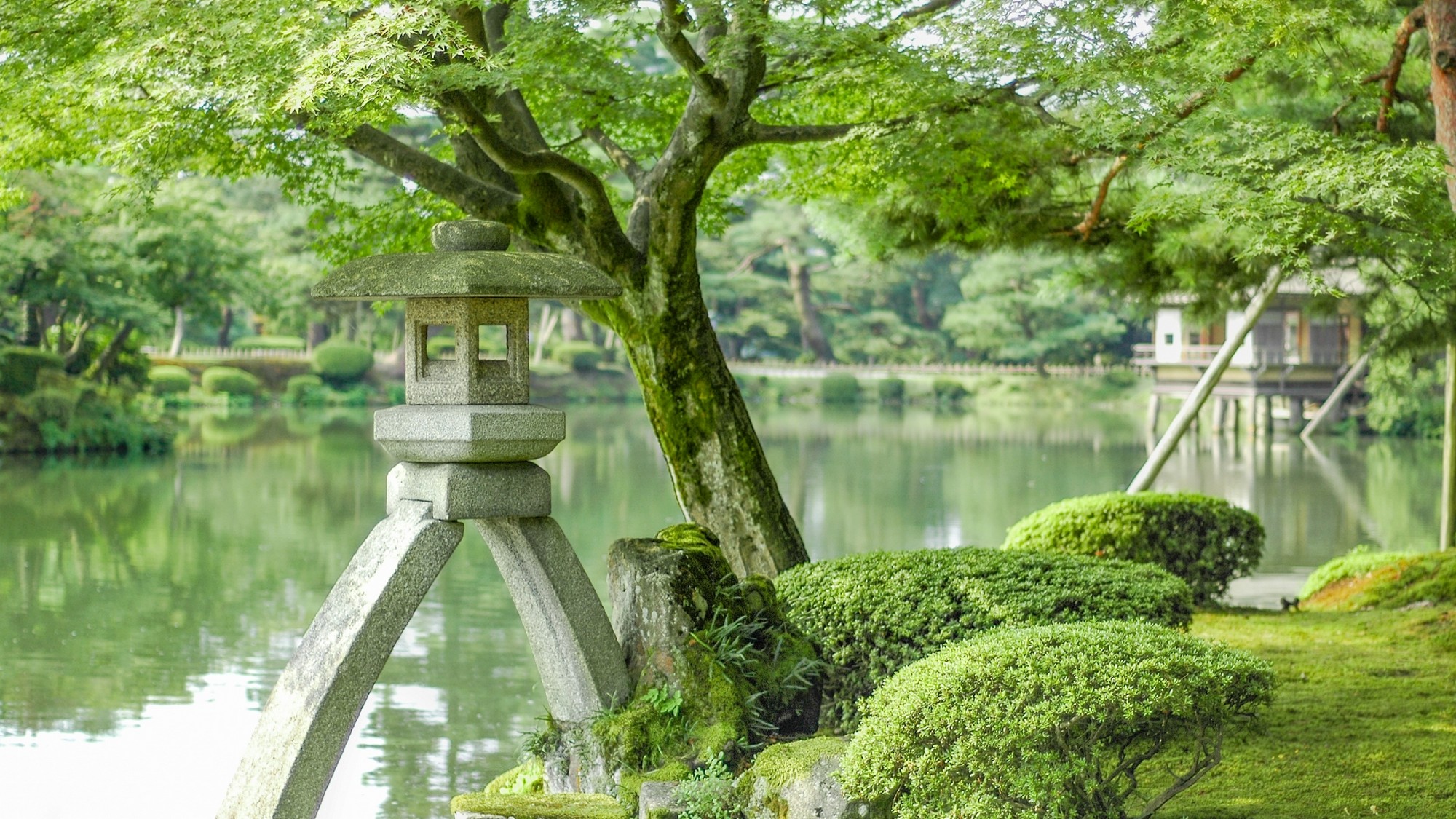 ◆兼六園◆　緑深まる、涼やかな夏の名園