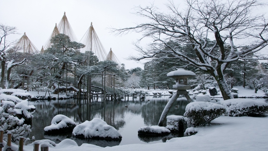 雪つりは金沢の冬の風物詩です。金沢に来られたらぜひ兼六園へ！
