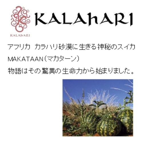 レディースプラン♪女性限定☆嬉しい特典付き☆ダブルベッド♪リラックスステイな女子旅♪