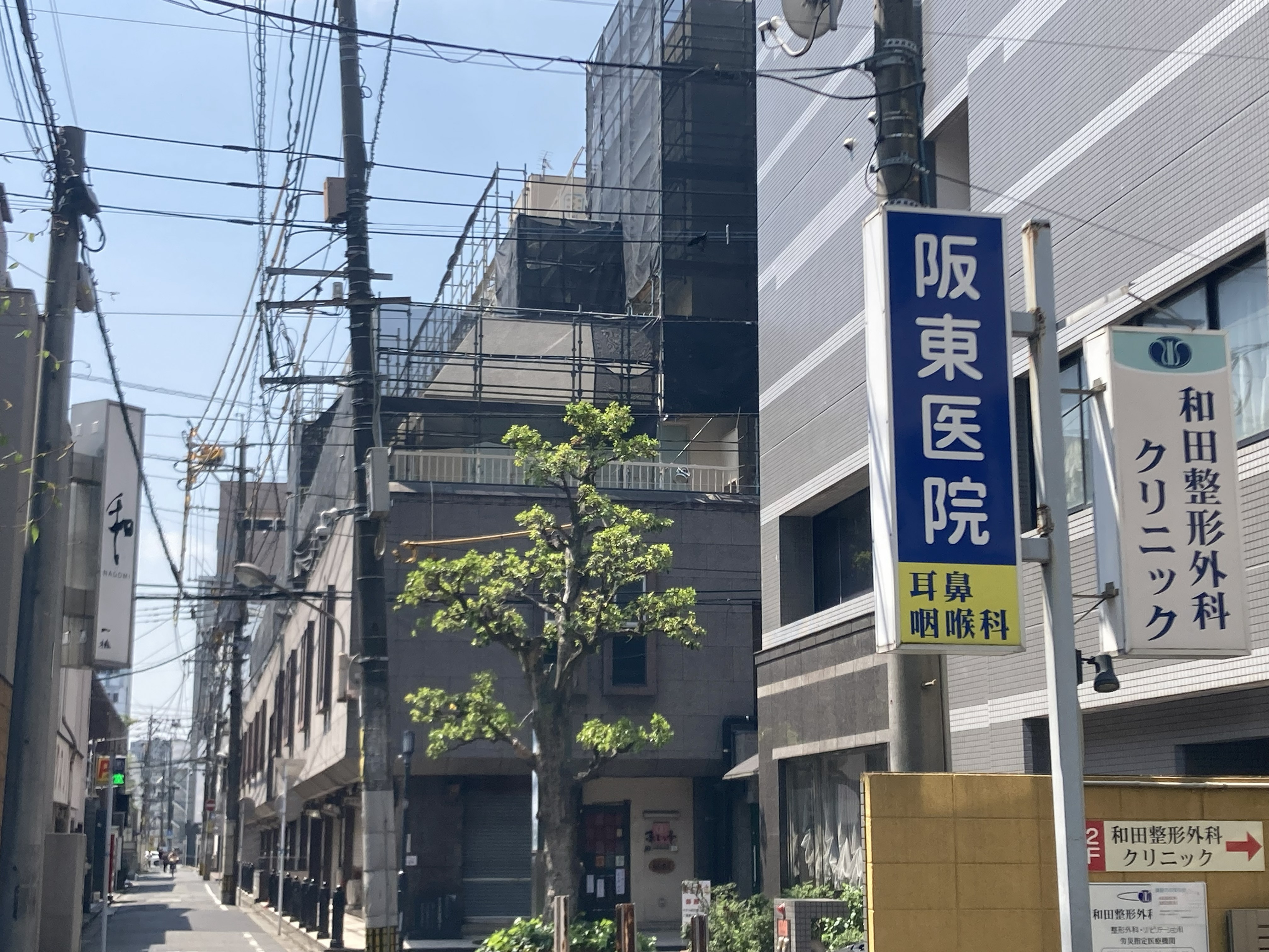 ⑦当ホテルなのみの木