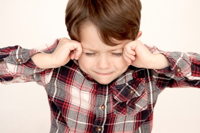 【訳アリ20％オフ】グランプ鍋「醤油ちゃんこ」兵庫産3大お肉の饗宴