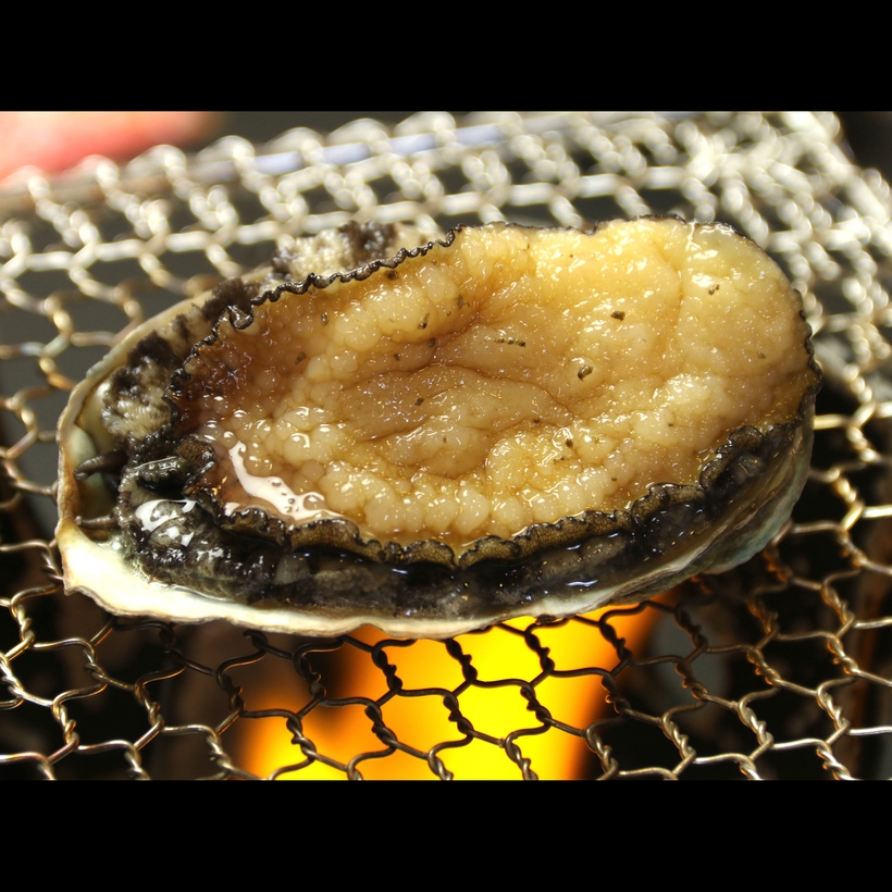 ◎【アワビ付★海の幸会席】夏が旬の海の幸を味わう贅沢会席！地産地消の美味しい丹後グルメをたっぷり満喫