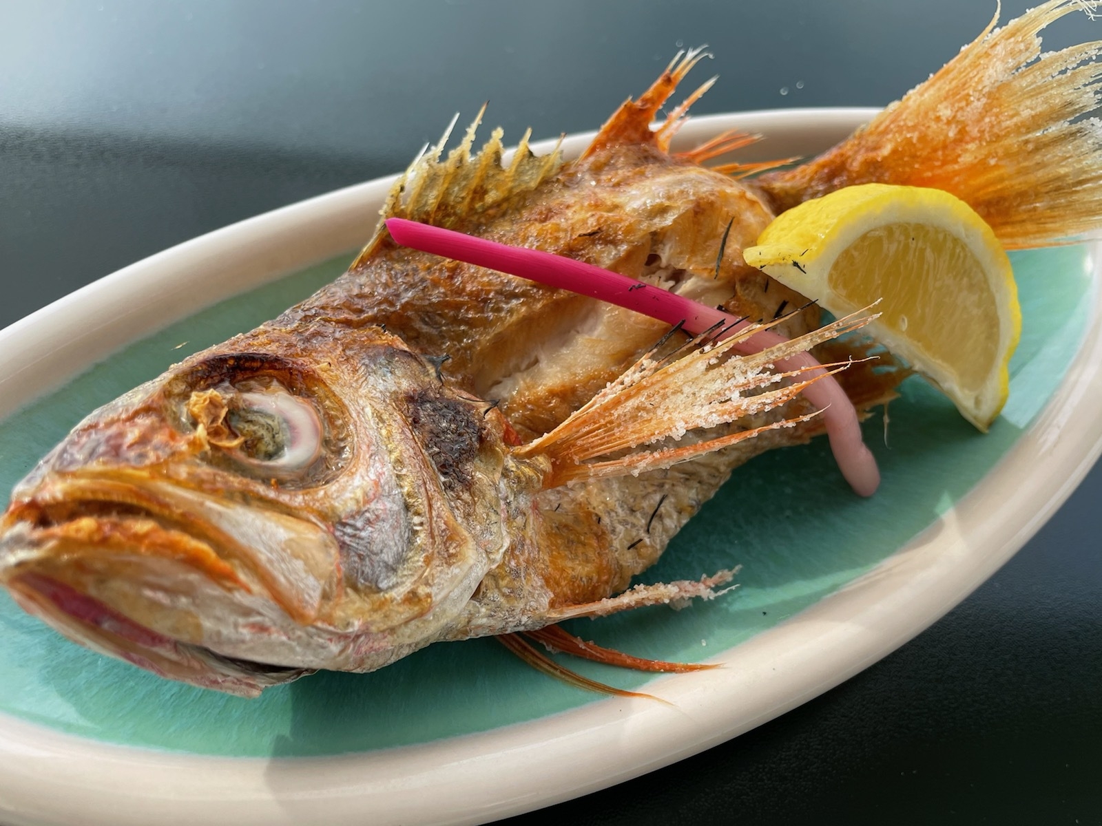 【朝・夕食付】数量限定！旨みたっぷりの高級魚「のどぐろ塩焼き」一匹まるごと！船盛付会席
