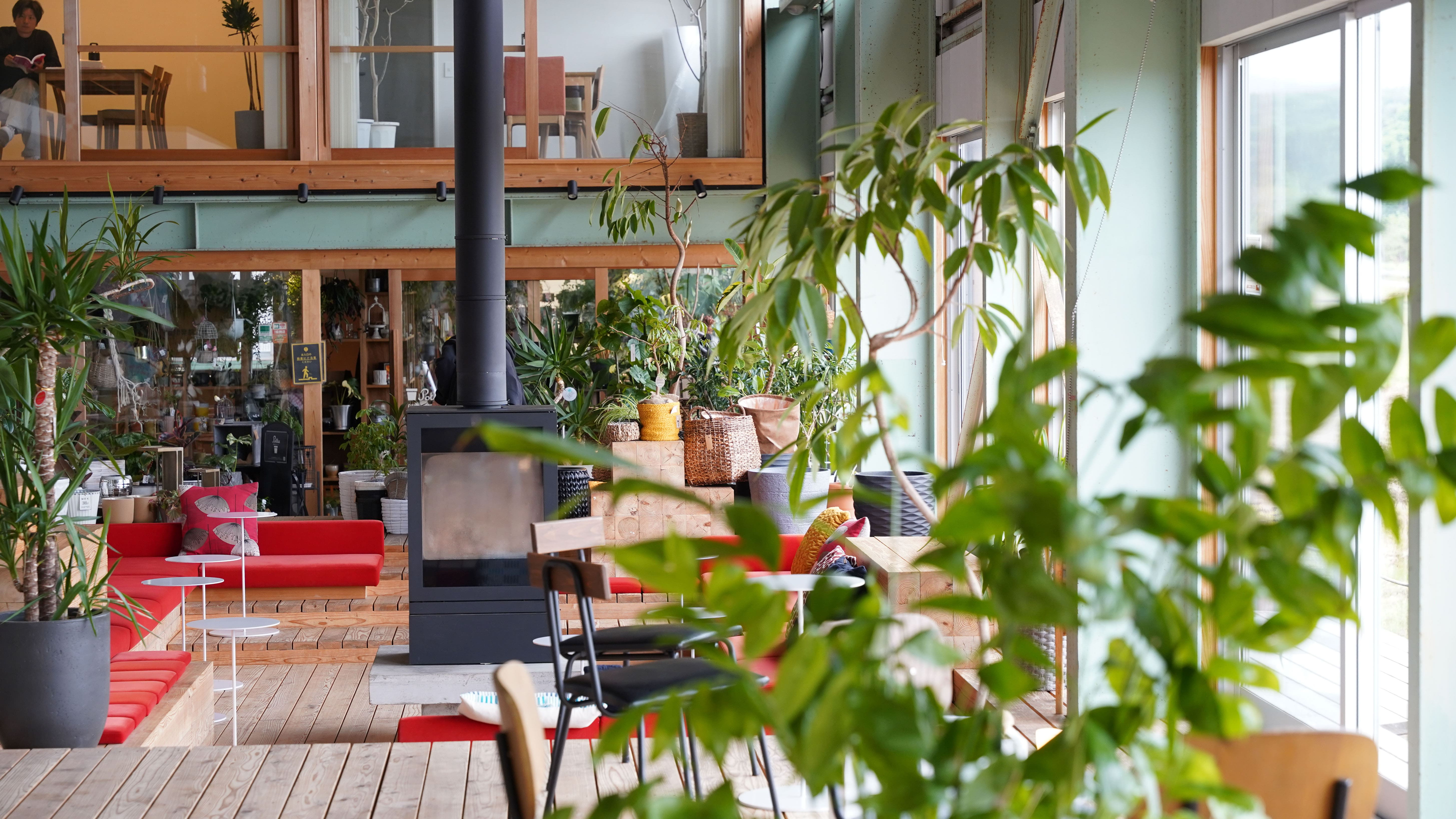 ホテル周辺【当ホテルからお車で7分 ハコニワ】