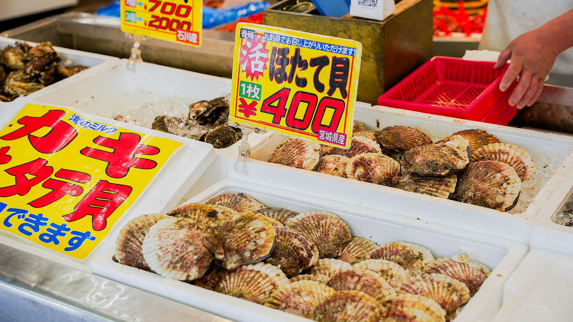 ホテル周辺【当ホテルからお車で55分 寺泊魚の市場通り】