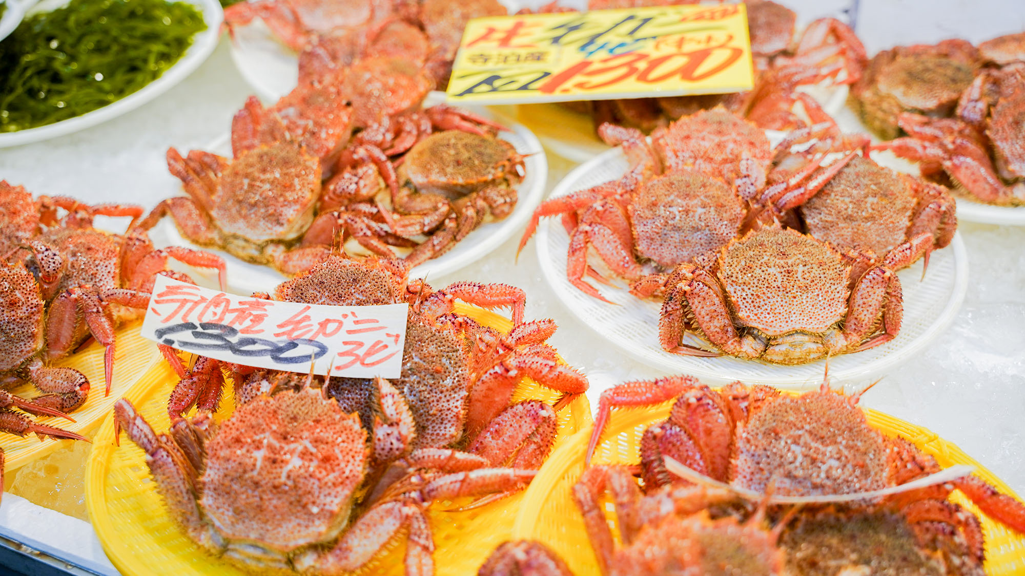 ホテル周辺【当ホテルからお車で55分 寺泊魚の市場通り】