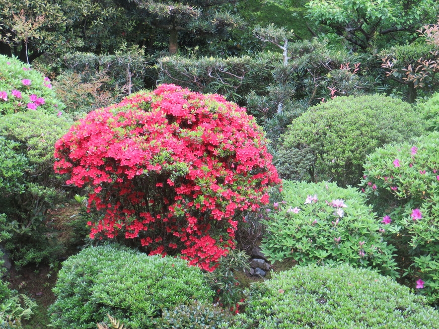 【直前割】無垢の木のぬくもり包まれた一組様限定Villaで京の奥東山(銀閣寺・哲学の道等）を堪能