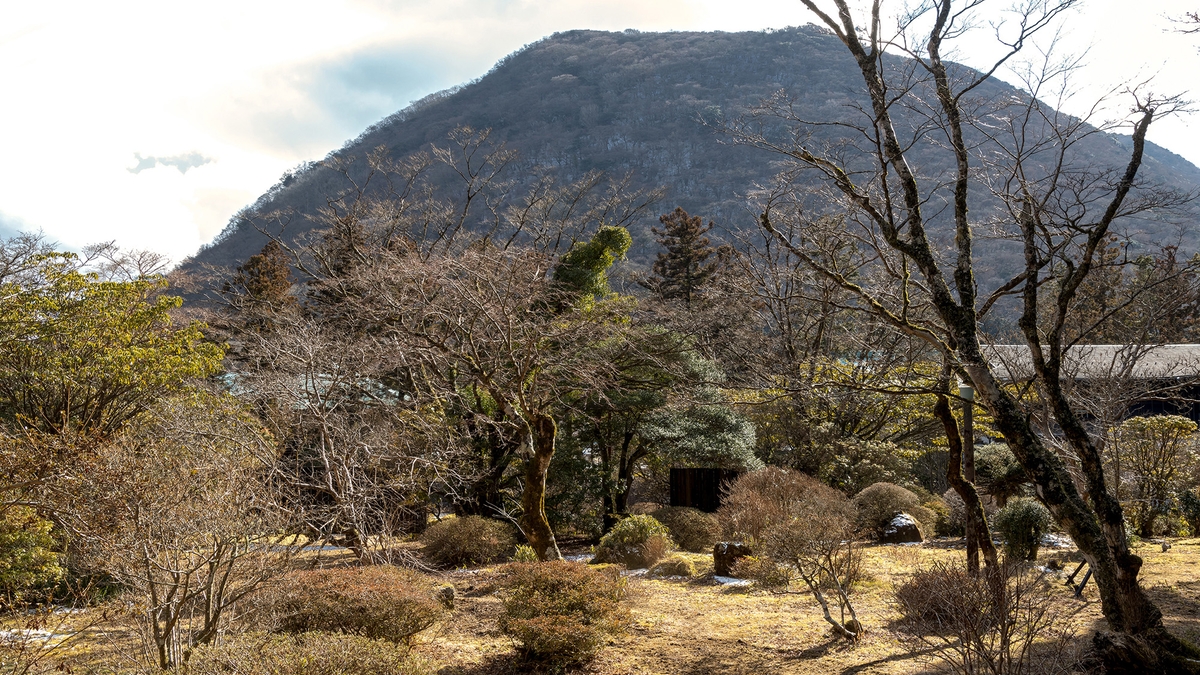 箱根芦之湯 松坂屋本店(眺望・庭園)