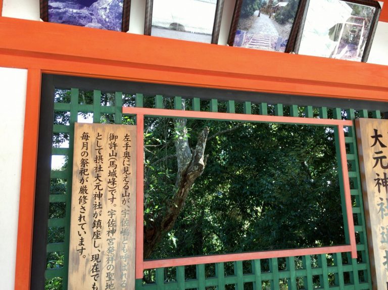 写真2