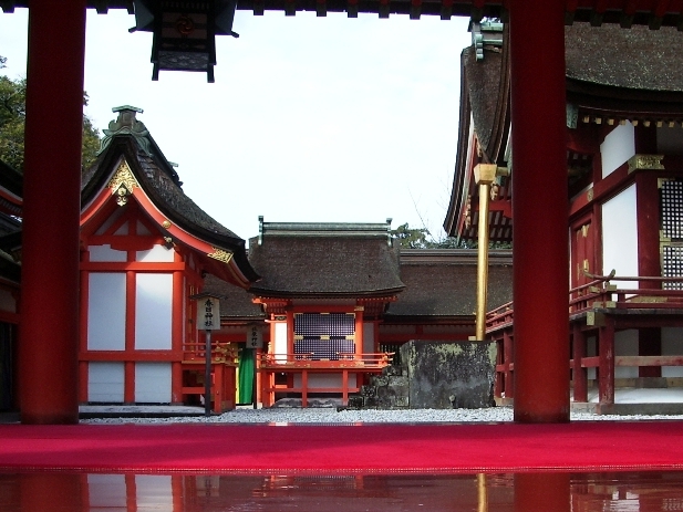 写真5