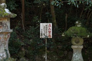 写真4