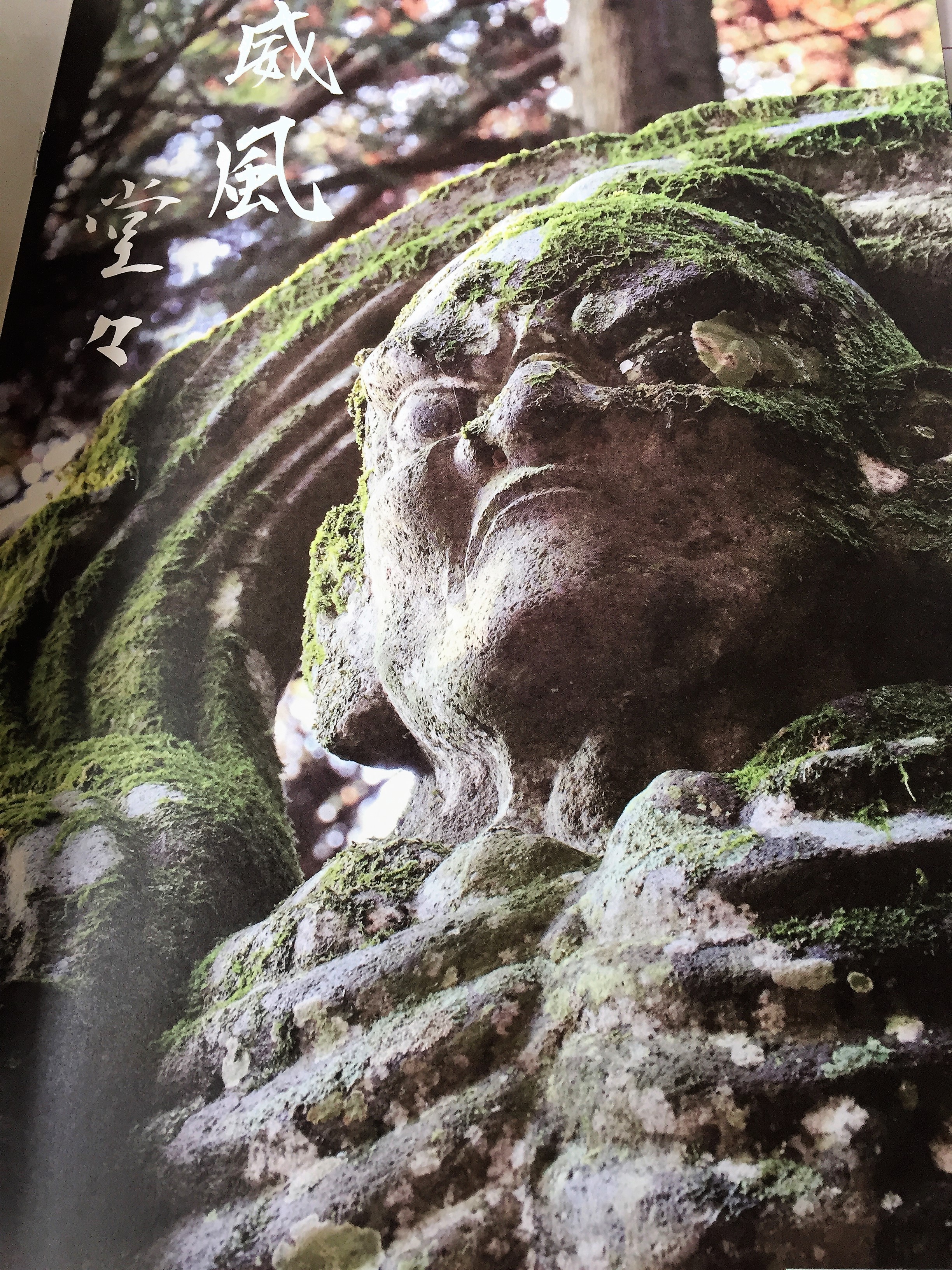 威風堂々の石仏