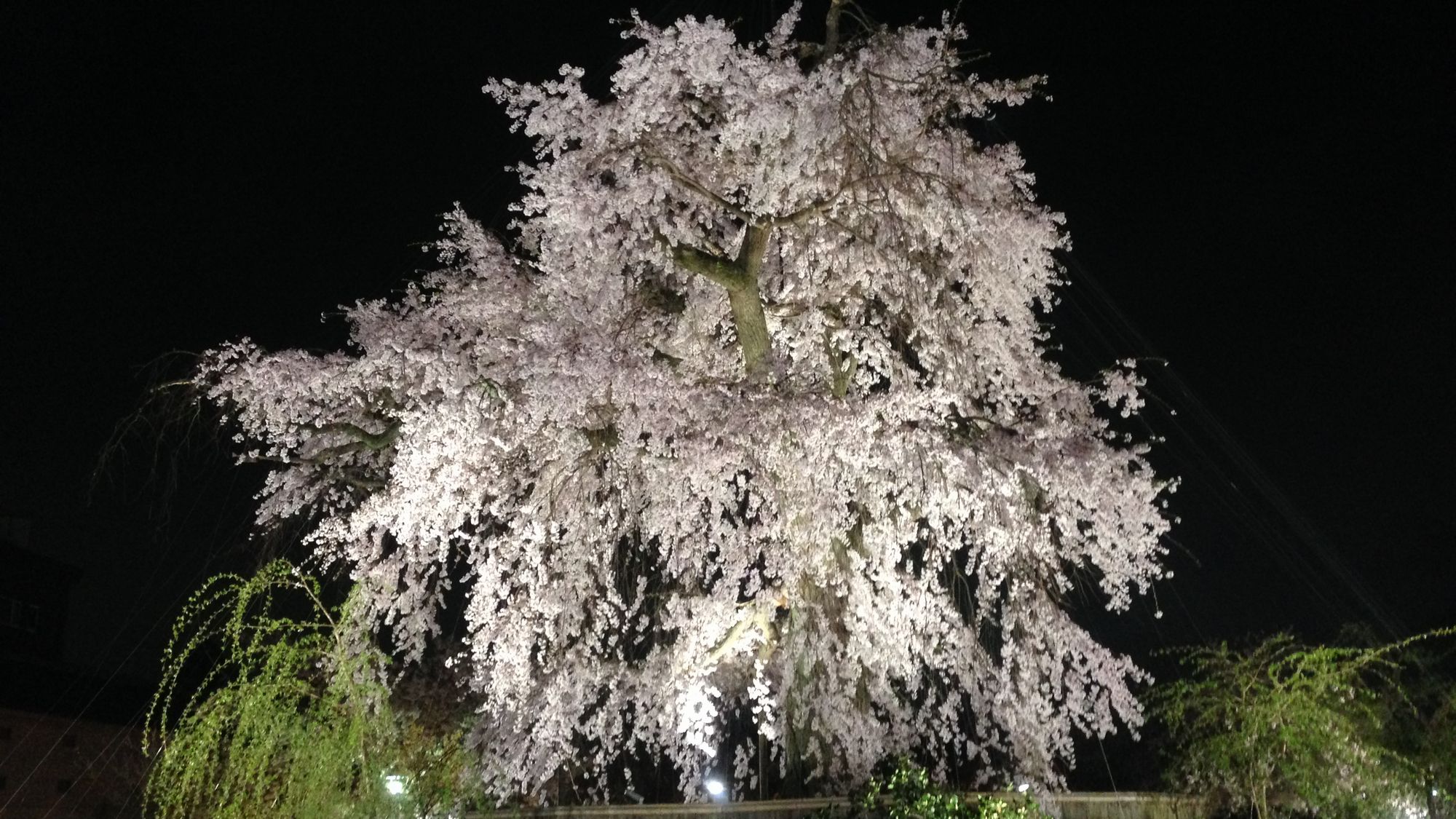 丸山公園