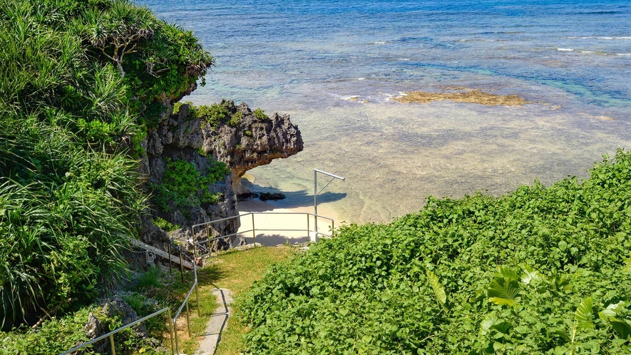 お部屋の前の海ではたくさんの魚たちがみれます♪