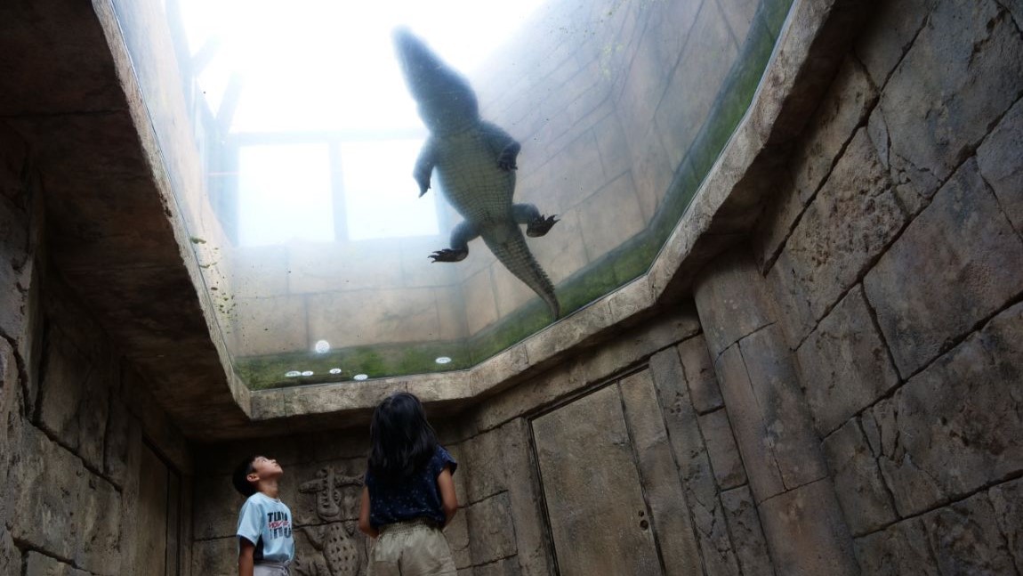 家族旅応援★幼児無料＆小学生30％割引★連泊で「沖縄こどもの国入園券」プレゼント／素泊り・大浴場無料