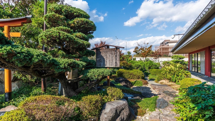 ■天橋立庭園■