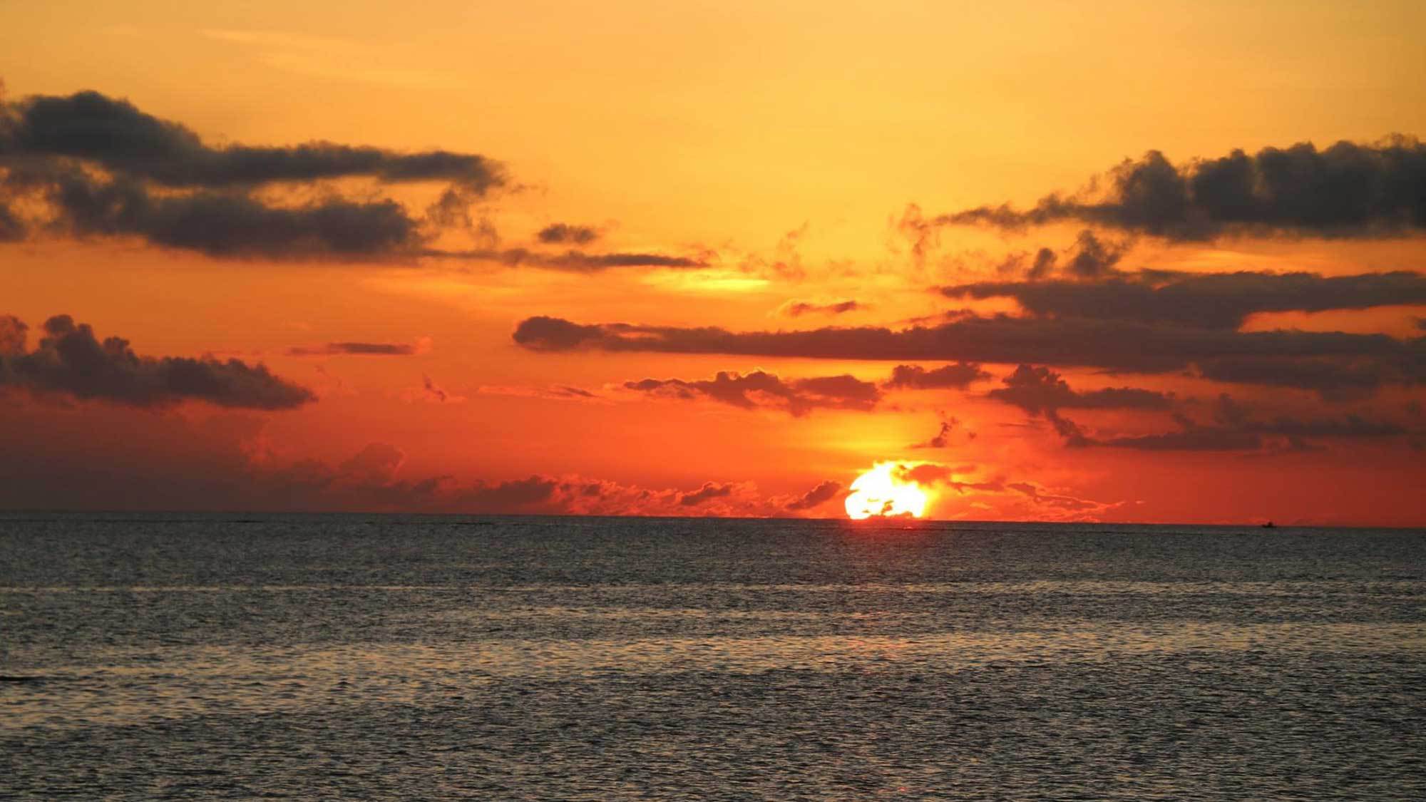 話題のジャングリアまで車で20分☆古民家ミーヤーでゆったり広々一棟貸しスタンダードプラン（素泊まり）