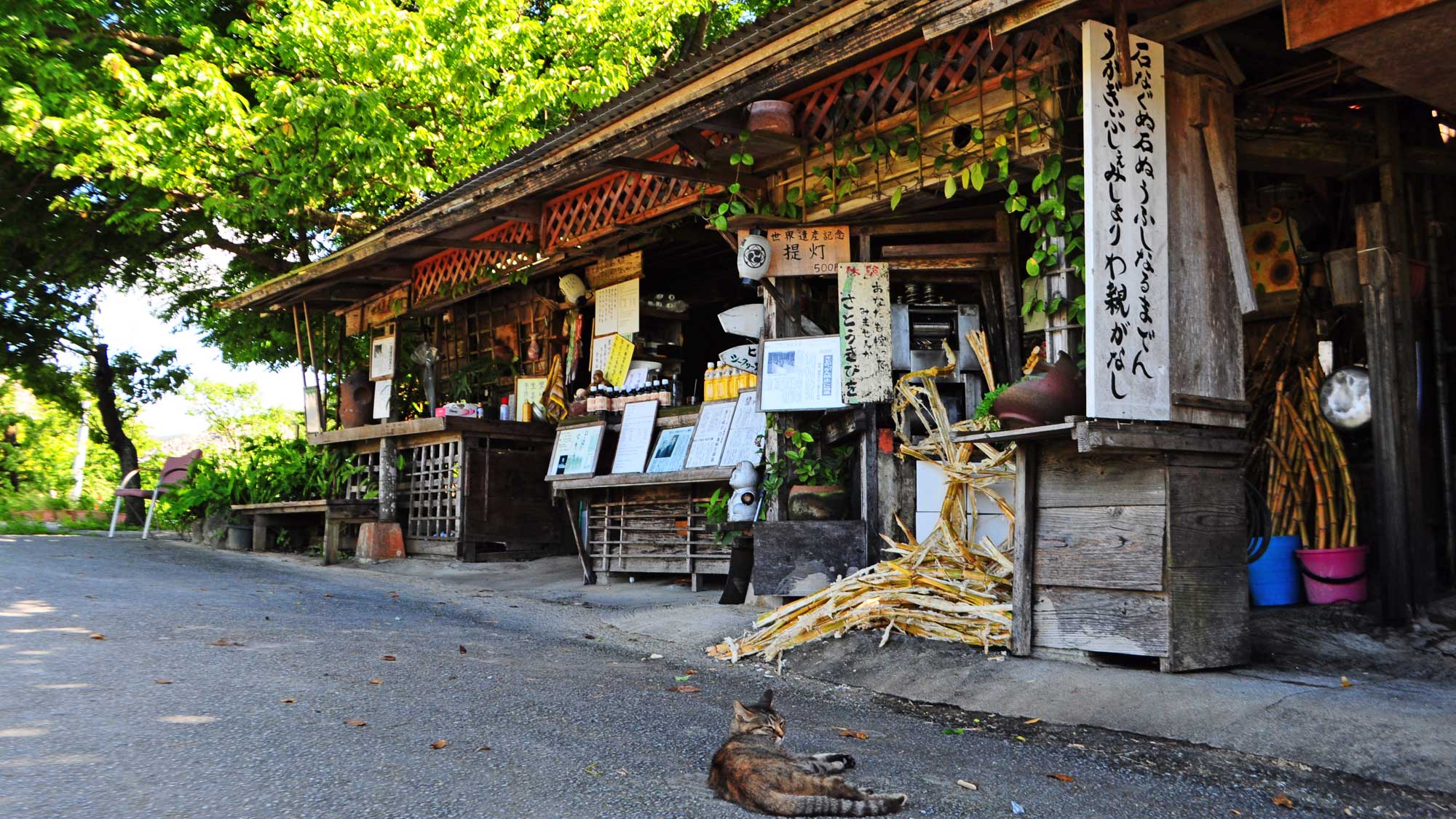 【今帰仁城跡】敷地内にある休憩所