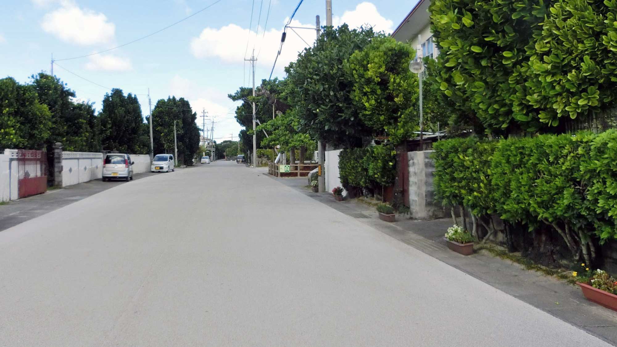 【周辺】今帰仁の散歩道 