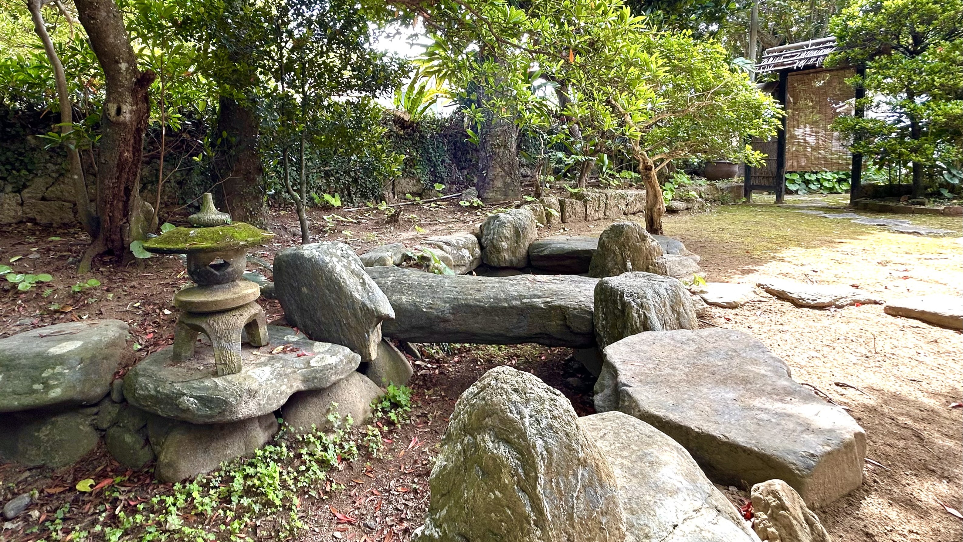 庭の池