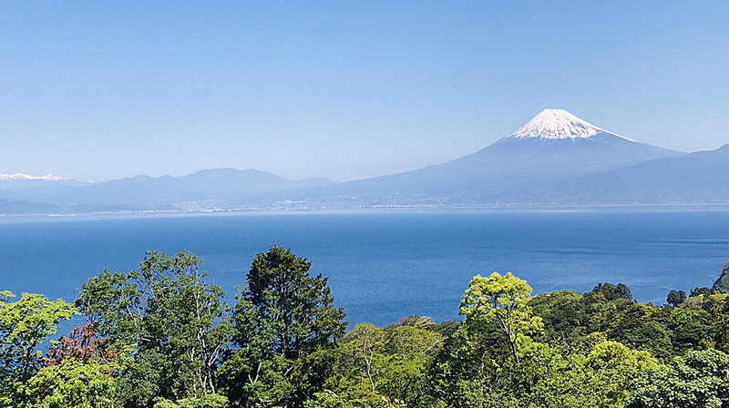 【楽天月末セール】飲み放題付きスタンダードプラン／富士山と駿河湾を望む全室半露天風呂付き【1泊2食】