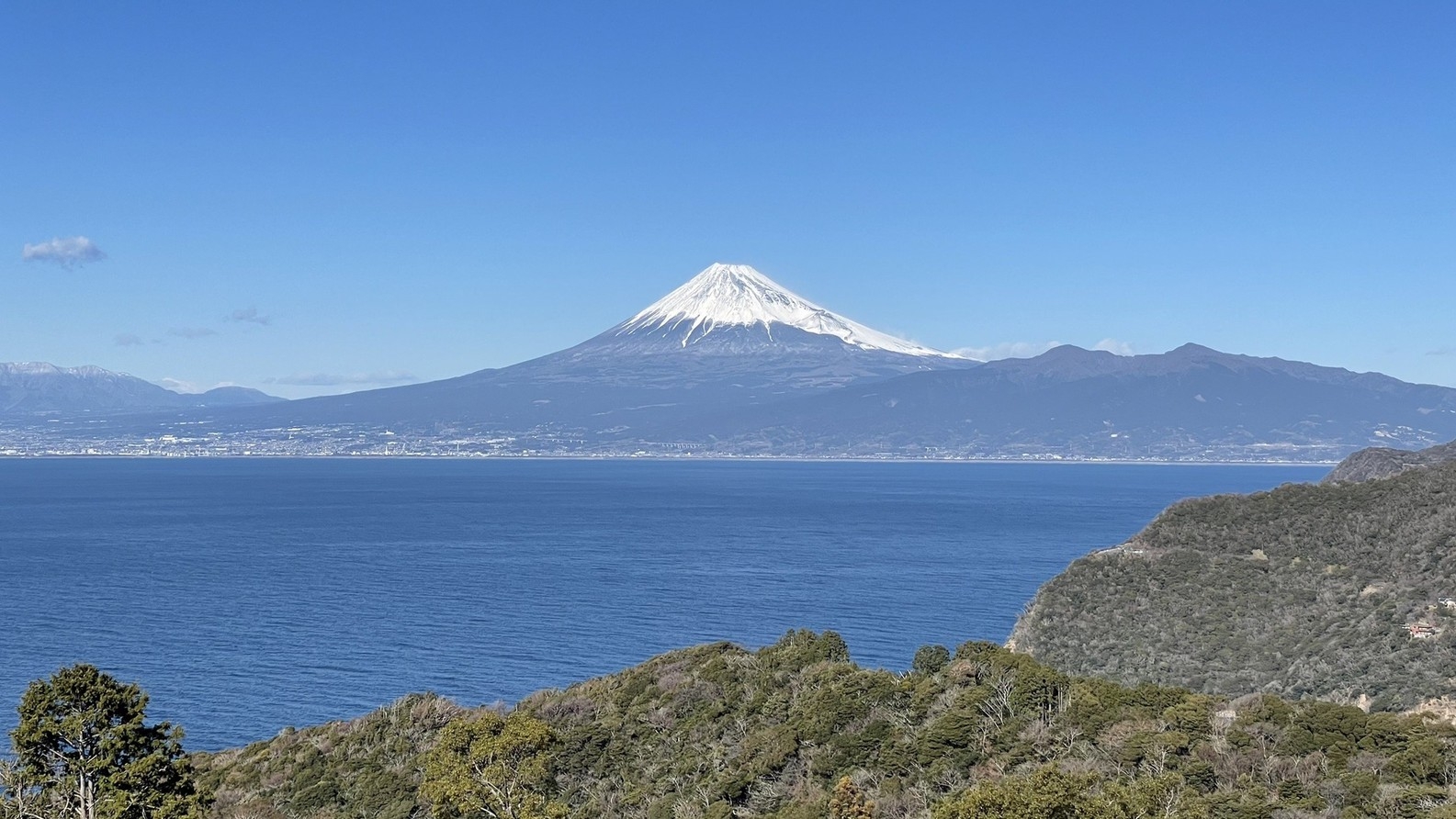 【全室半露天風呂】富士山と駿河湾を望むプレミアムステイ1泊2食スタンダードプラン