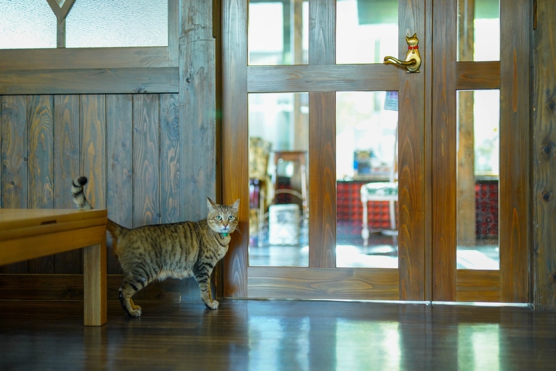【レトロ館素泊まり】時間を気にせずゆっくり☆ワーケーションにもおすすめ