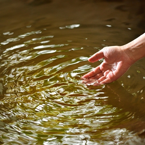 【1泊朝食付き】カラダに嬉しい和朝食★出張ビジネスにもオススメ