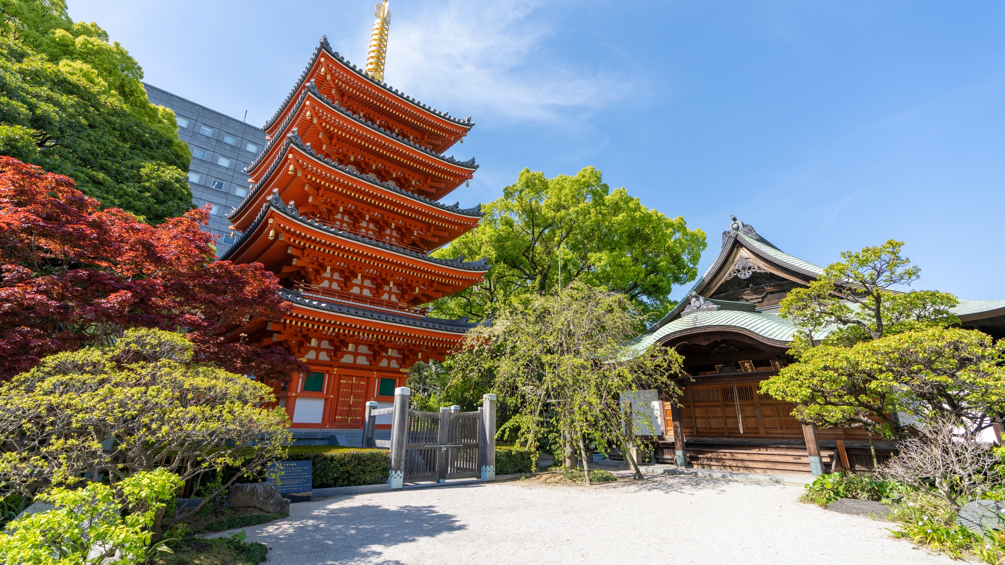東長寺の五重塔と大師堂
