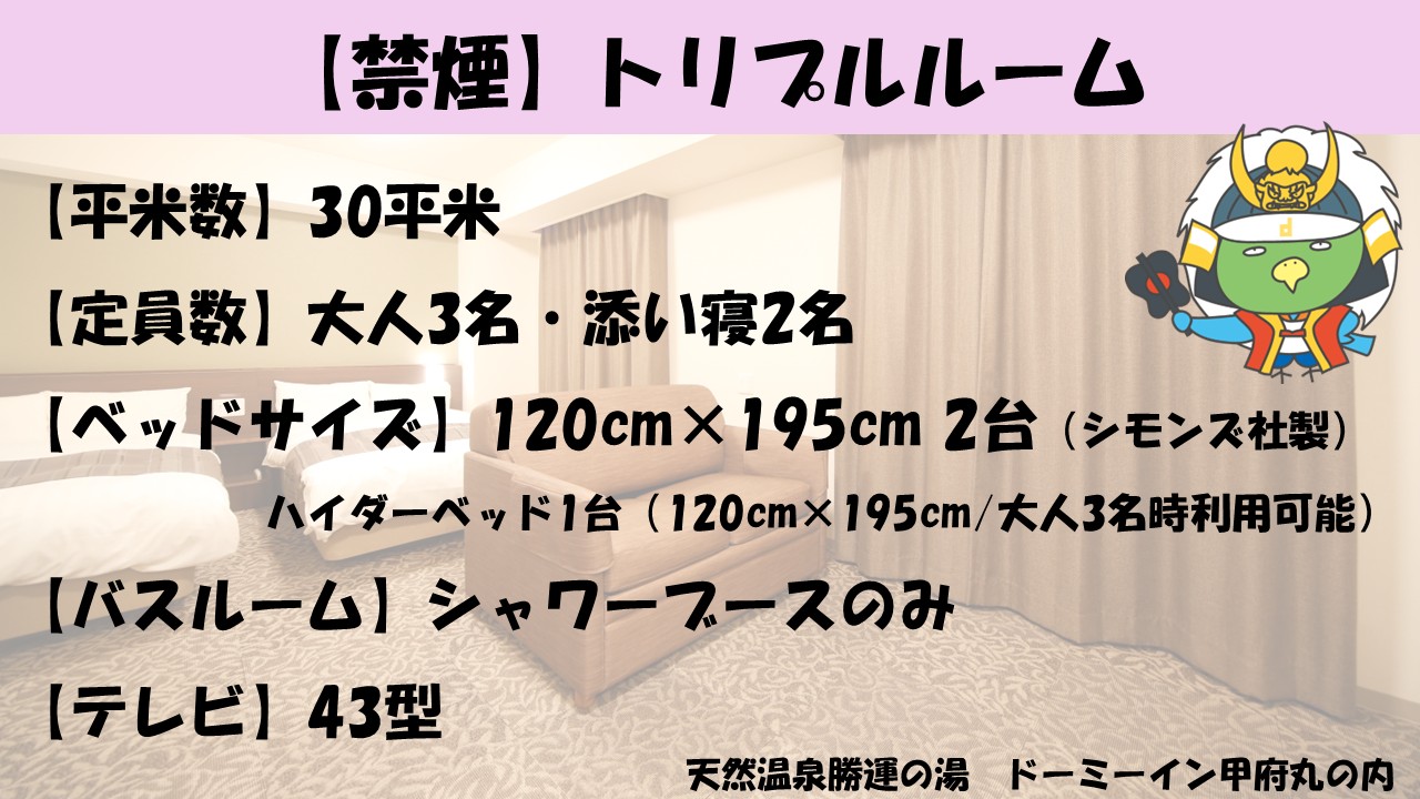 ■トリプルルーム【禁煙】（120&times;195センチ2台◇シモンズ社製+ハイダーベッド1台）30平米
