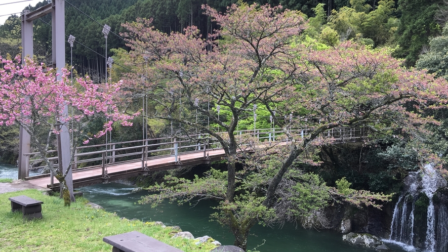 *【猿飛千壺峡】春は桜・秋は紅葉がお楽しみいただけます。