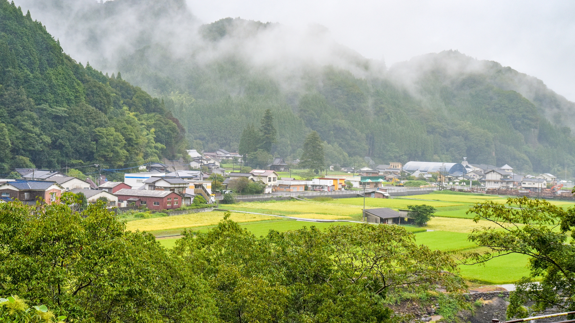 *宿泊棟から自然を一望できます。