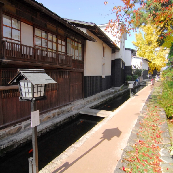 写真2