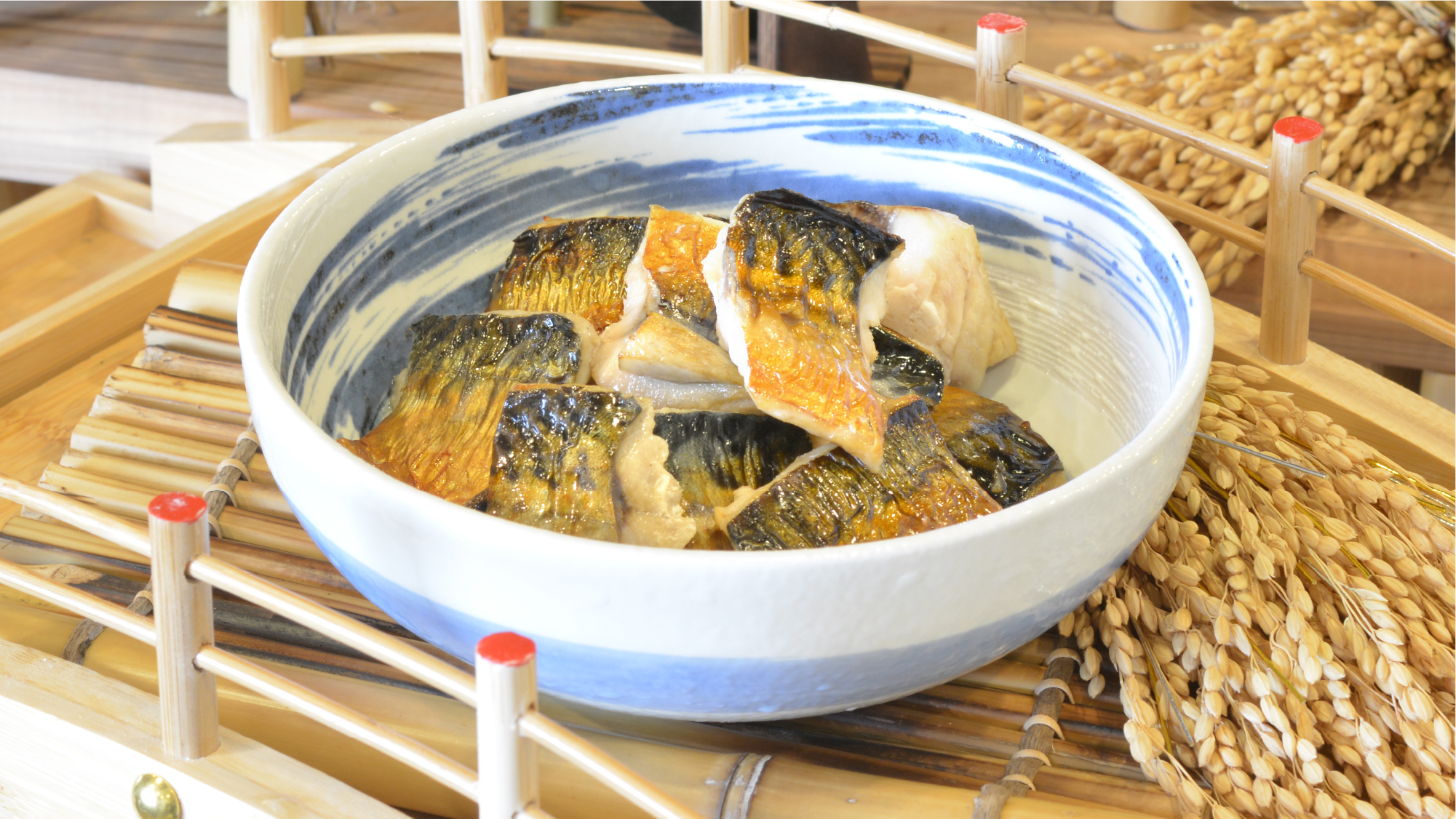 【朝食】焼き鯖の切り身。日によってメニュー内容は異なります。