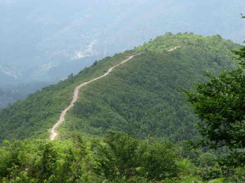 【取立山】水芭蕉群の生地として有名で、冬シーズンはスキー客で賑わいます。