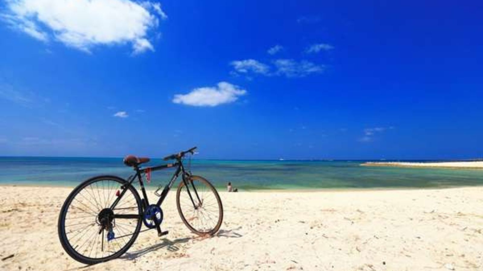 【サイクリスト応援/2食付】4種の特典付き！絶景の紀伊半島をぐるっと自転車旅！＜勝浦御膳＞