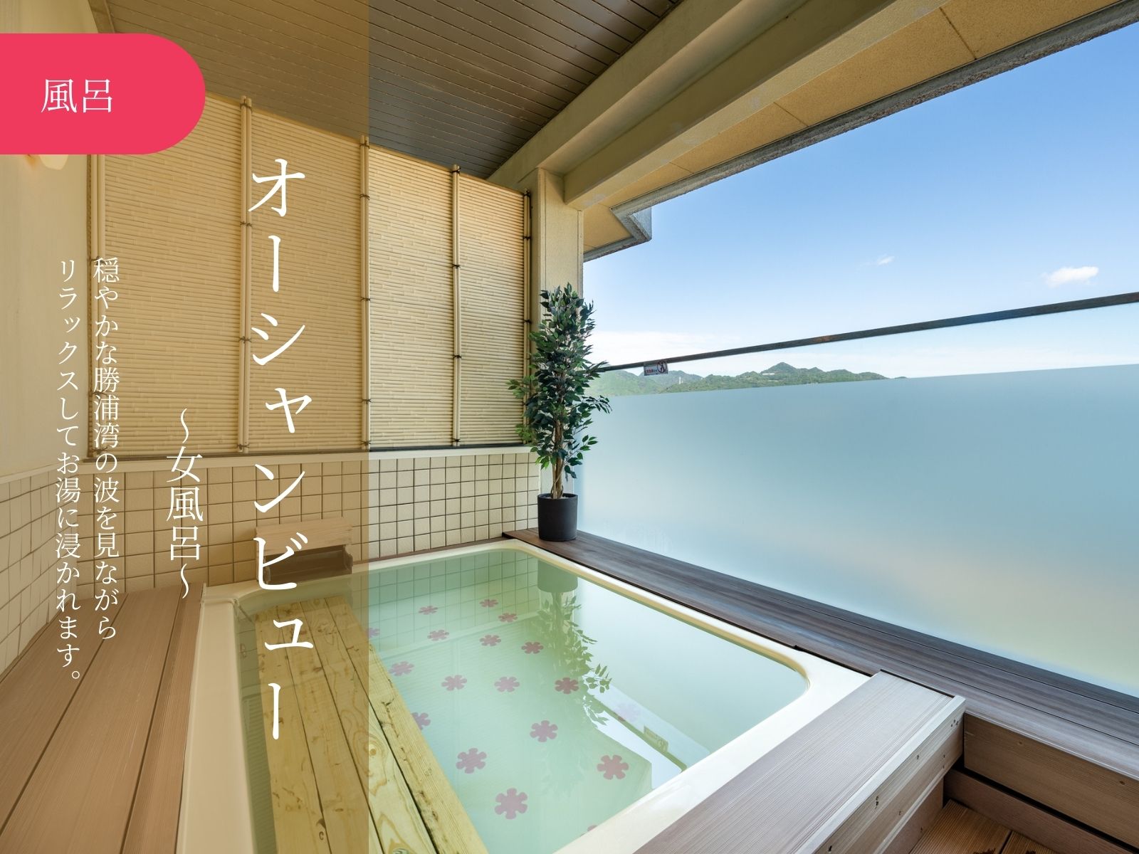 穏やかな勝浦湾の波を見ながらリラックスしてお湯に浸かれるオーシャンビューの女風呂