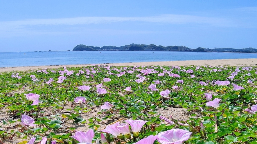 那智の浜