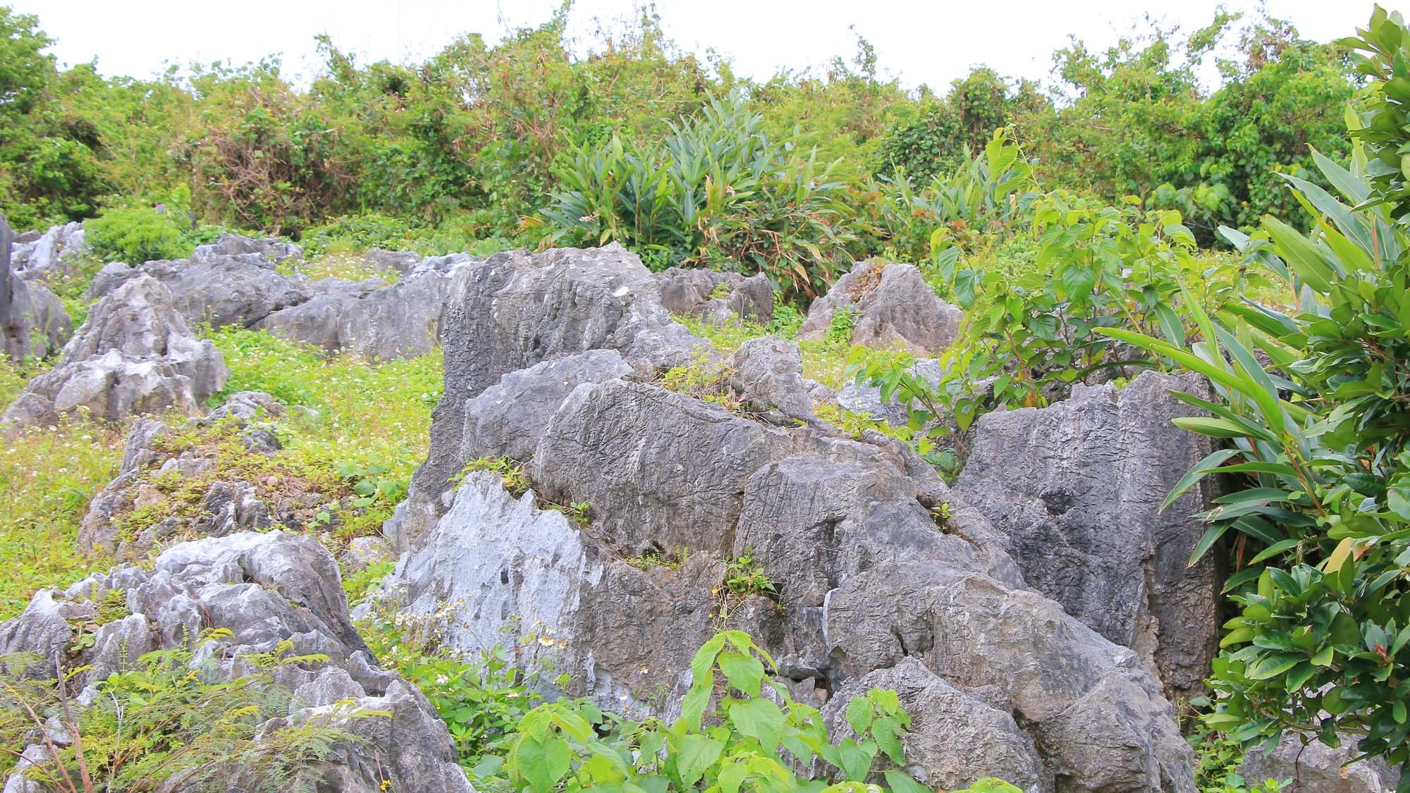 【素泊り】コテージタイプでのんびり過ごす気軽な伊江島の旅♪