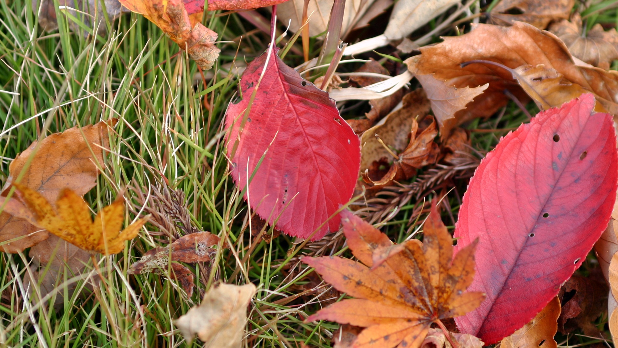 *【景観】敷地内には四季折々のお花や植物が皆様をお迎えします♪